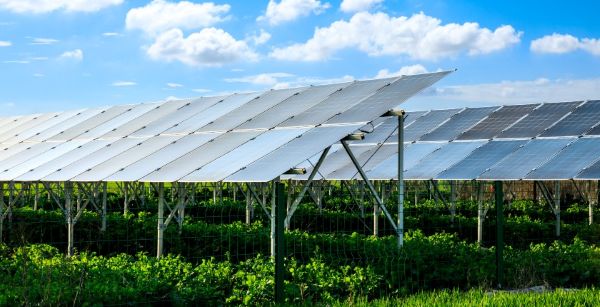 Điện năng lượng mặt trời ứng dụng trong nông nghiệp Điện năng lượng mặt trời ứng dụng trong nông nghiệp