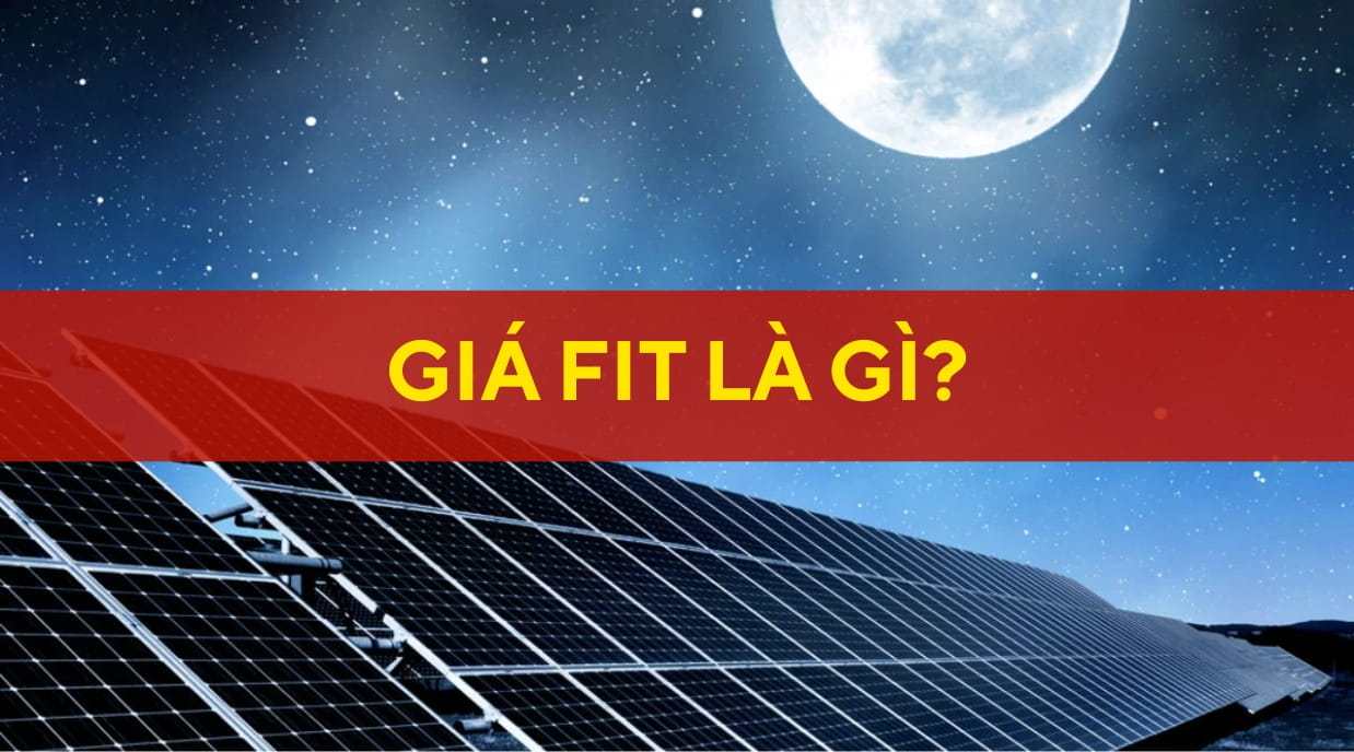 giá fit
